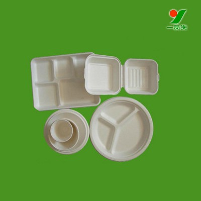 Natural Sugarcane Fibers GR10P disposable food bagasse tray