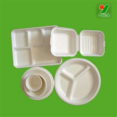 100% Sugar cane fiber dish One-time environmental biodegradable green meal boxes